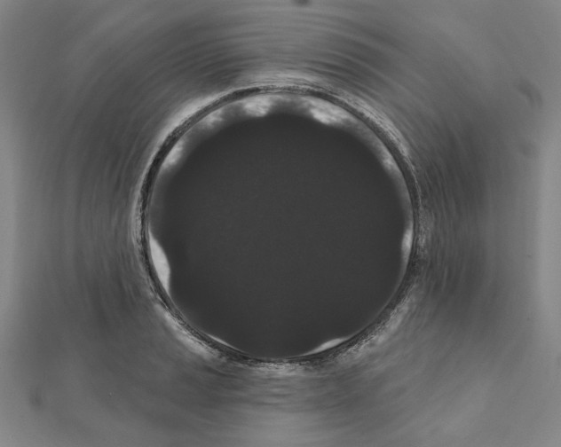 X0000111461037200908241315