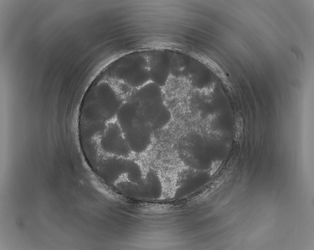 X0000111461039200908241315