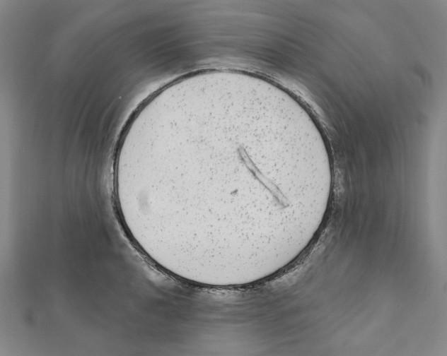 X0000111461040200908241315