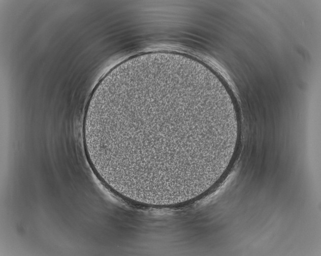 X0000111461041200908241315