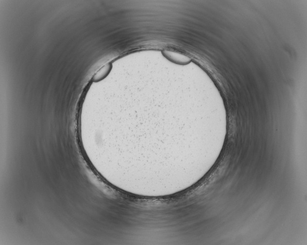 X0000111461042200908241315