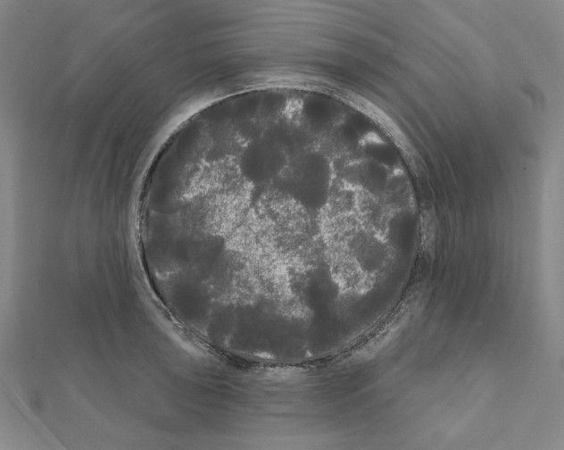 X0000111461043200908241315