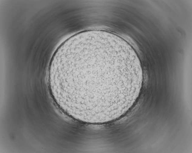 X0000111461044200908241315
