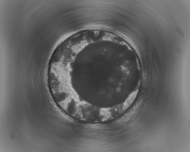 X0000111461045200908241315