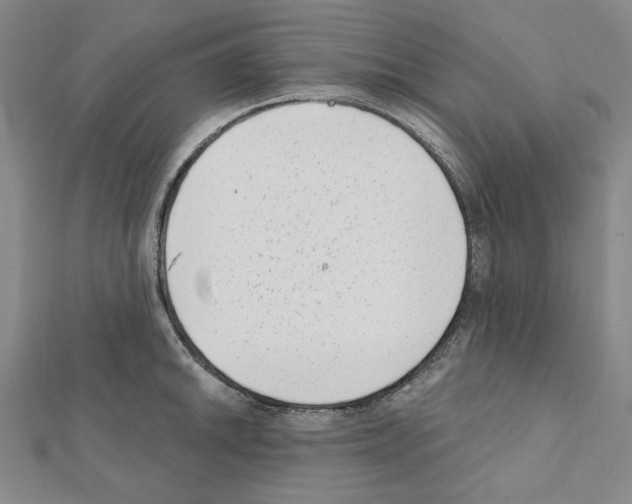 X0000111461046200908241315
