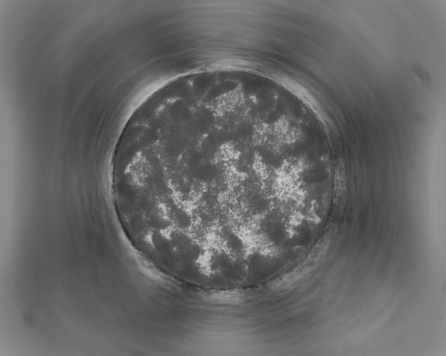 X0000111461047200908241315