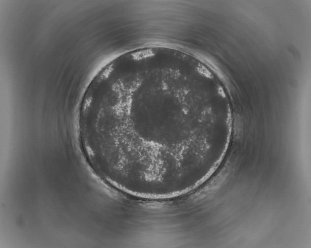 X0000111461048200908241315