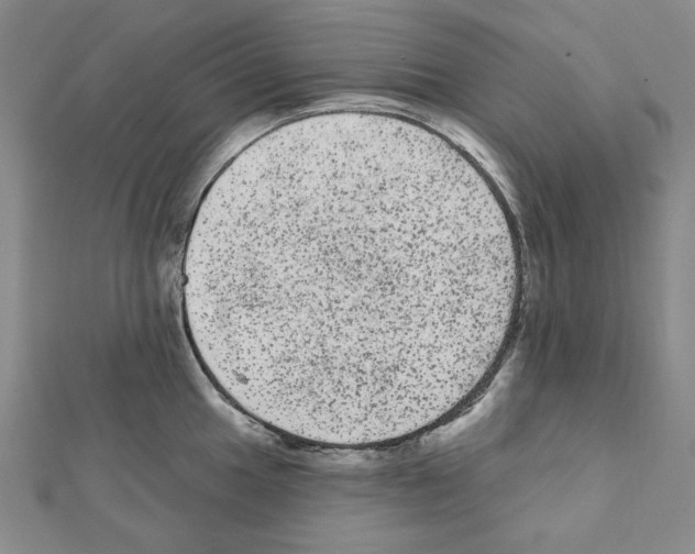 X0000111461049200908241315