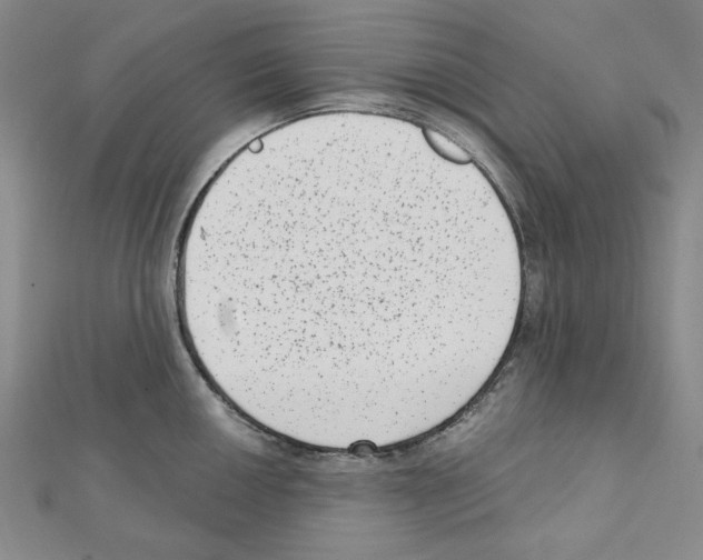 X0000111461050200908241315