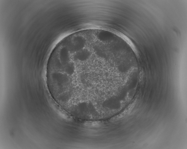 X0000111461051200908241315