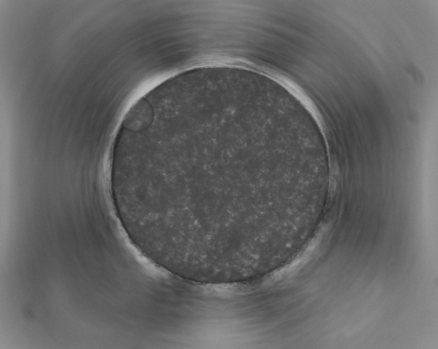 X0000111461053200908241315