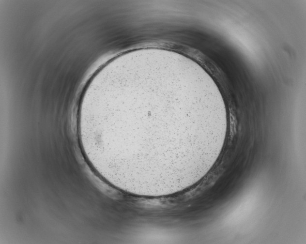 X0000111461054200908241315