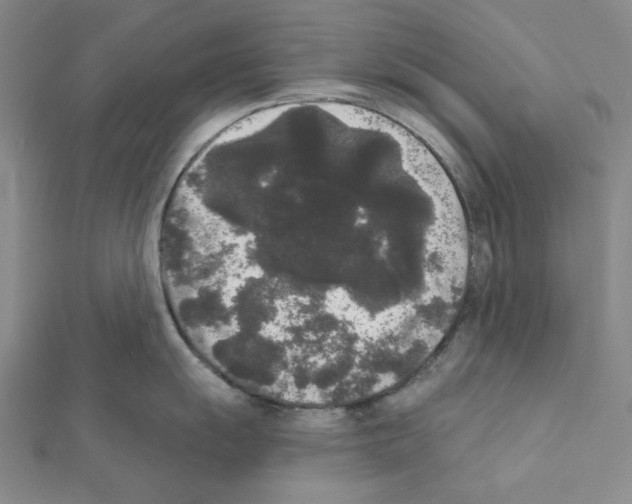 X0000111461055200908241315