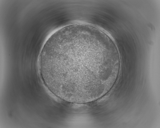 X0000111461056200908241315