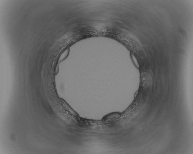 X0000111461057200908241315