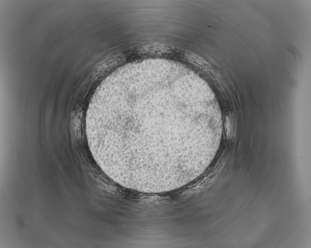 X0000111461059200908241315