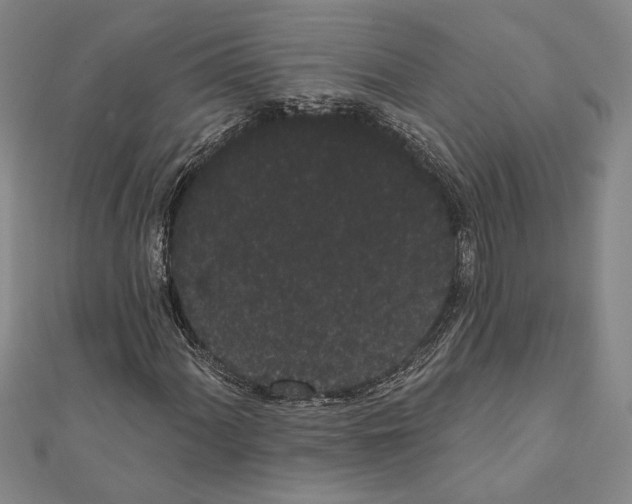 X0000111461060200908241315
