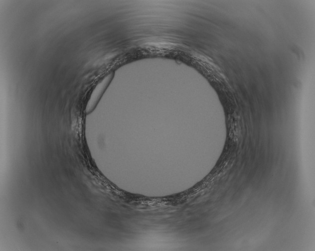 X0000111461061200908241315
