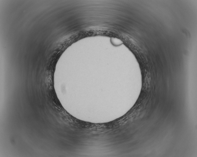 X0000111461062200908241315