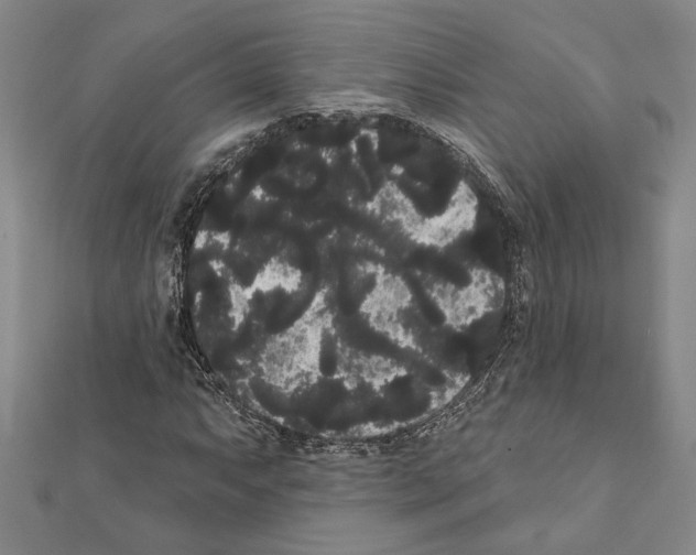 X0000111461063200908241315