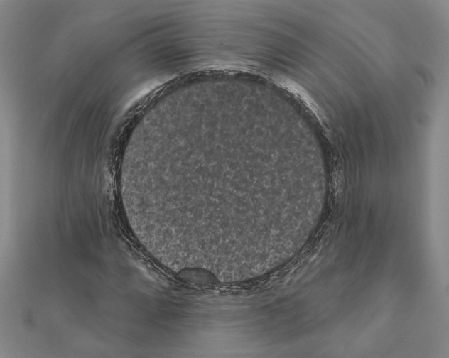 X0000111461064200908241315