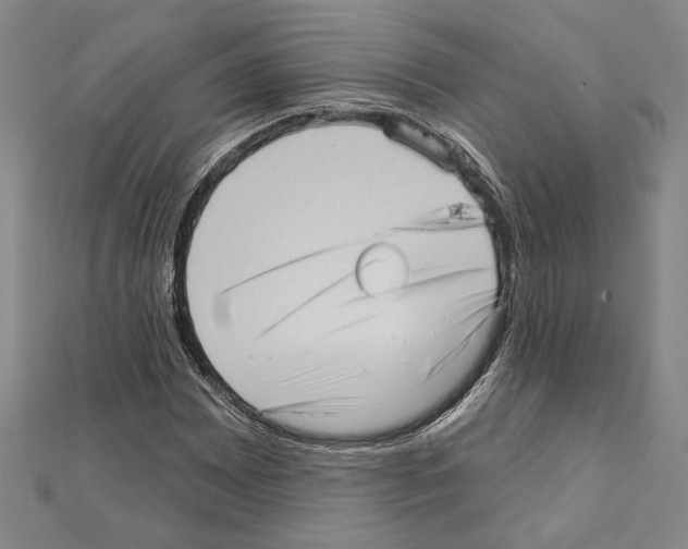 X0000111461065200908241315