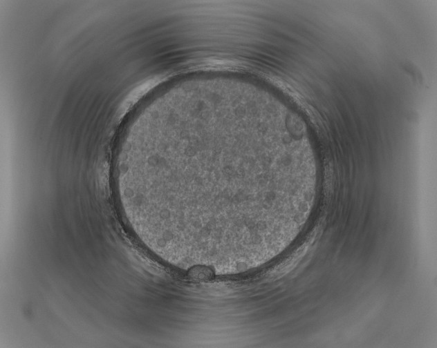 X0000111461066200908241315