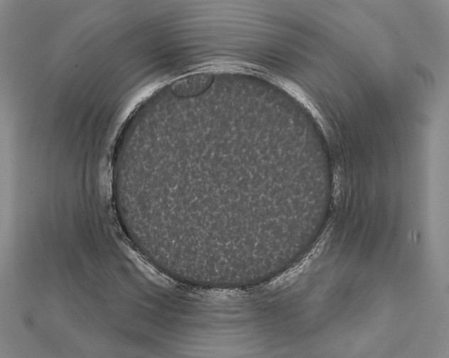X0000111461067200908241315