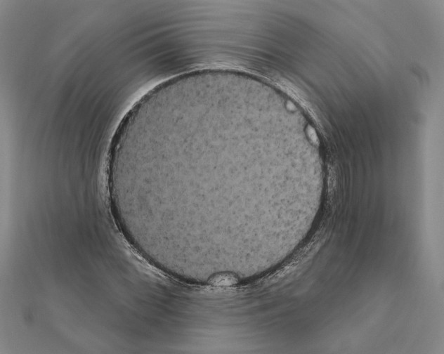 X0000111461068200908241315
