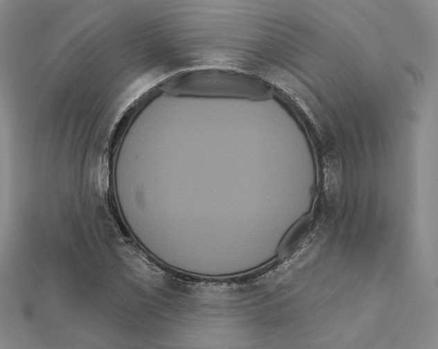 X0000111461069200908241315