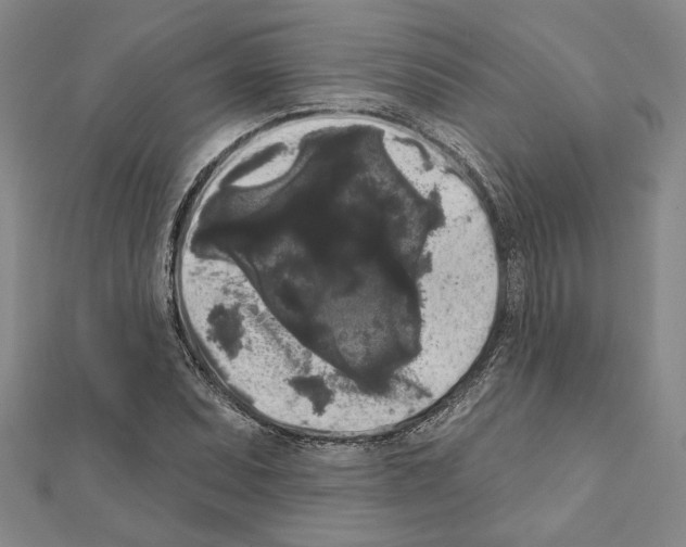 X0000111461071200908241315
