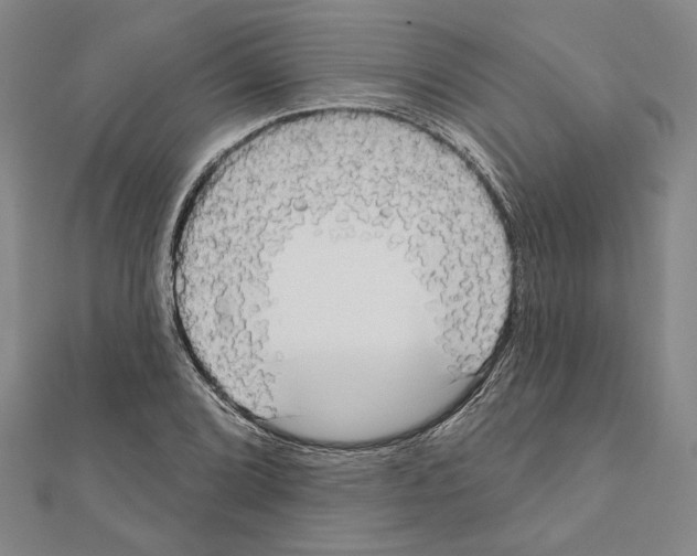 X0000111461072200908241314