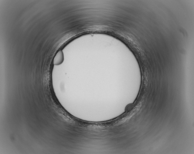 X0000111461073200908241314