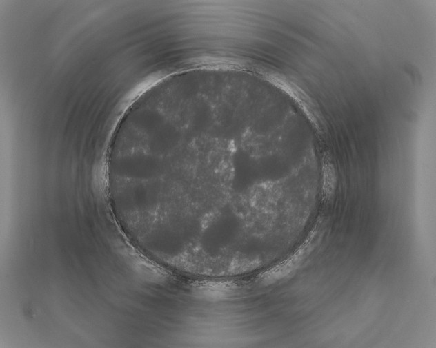 X0000111461074200908241314