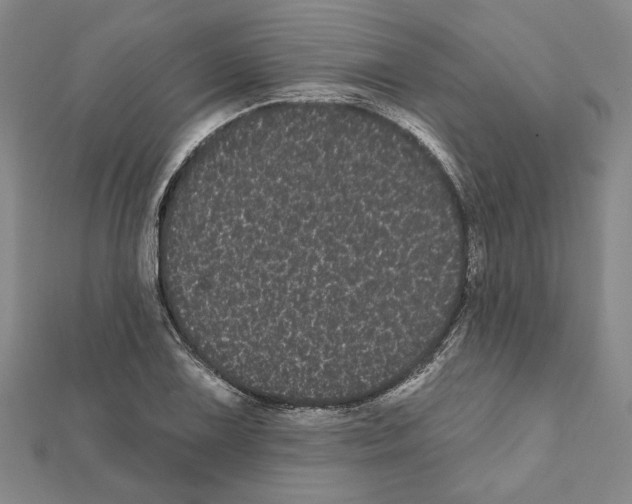 X0000111461075200908241314