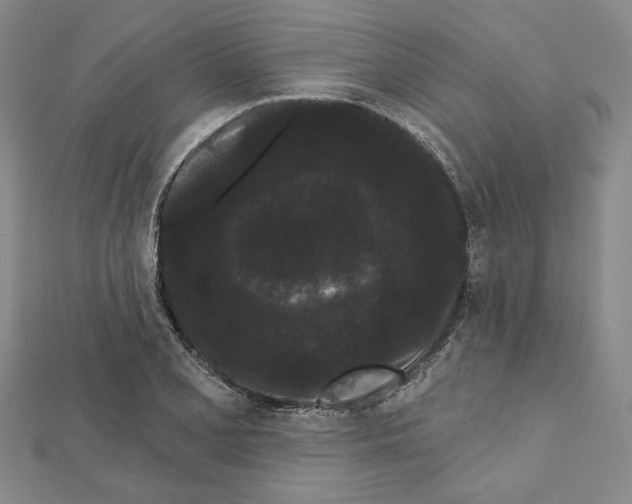 X0000111461077200908241314