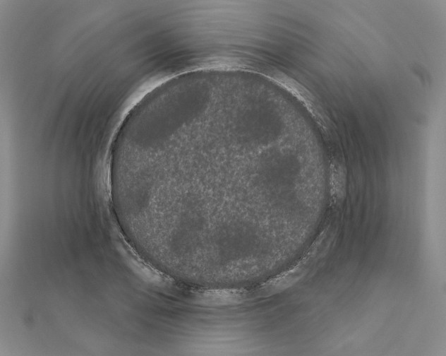 X0000111461078200908241314