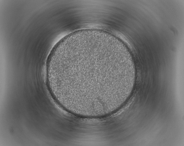 X0000111461079200908241314