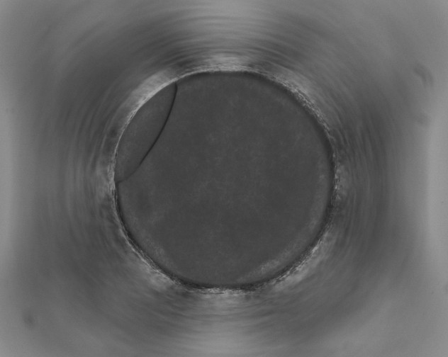 X0000111461081200908241314