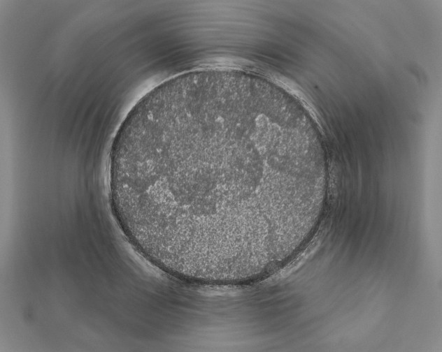 X0000111461083200908241314
