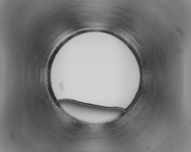 X0000111461085200908241314