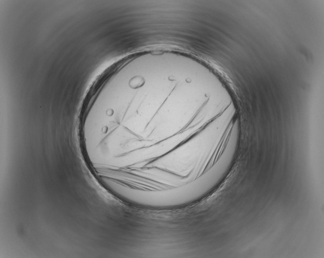 X0000111461086200908241314