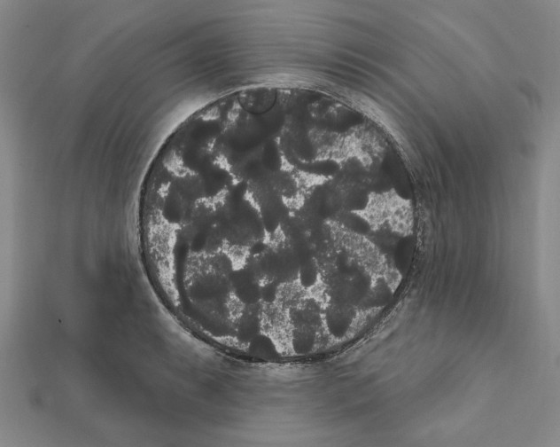 X0000111461087200908241314