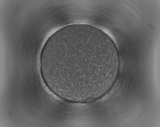 X0000111461088200908241314