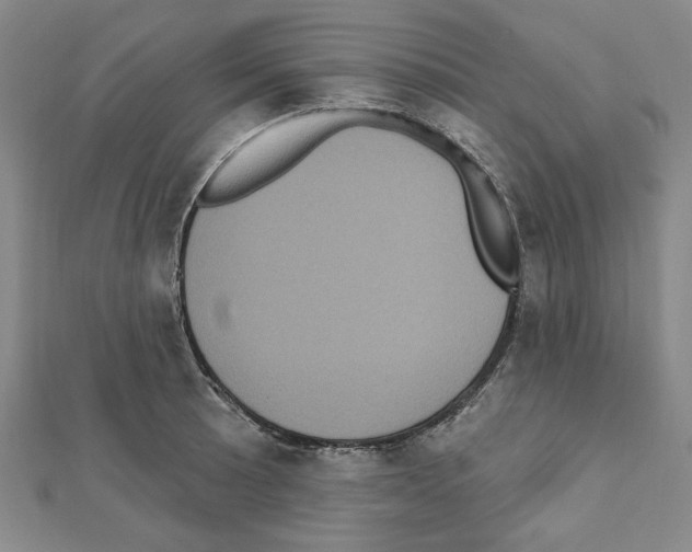 X0000111461089200908241314