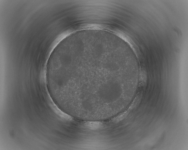 X0000111461090200908241314