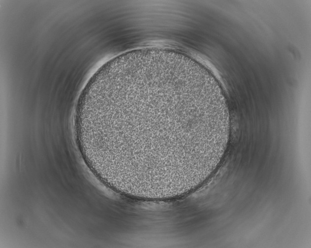 X0000111461091200908241314