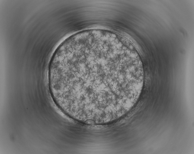 X0000111461092200908241314