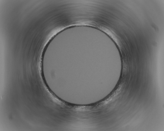 X0000111461093200908241314