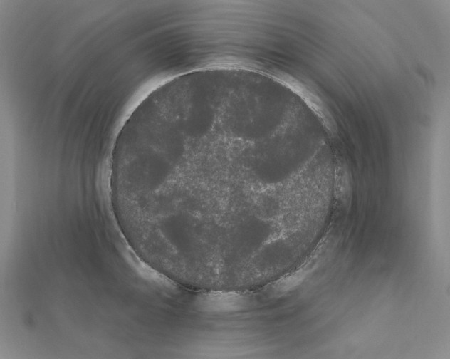 X0000111461094200908241314